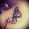 Black and Grey Butterfly