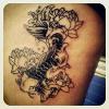 Black and Grey Coi
