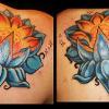 Lotus Flowers