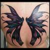 Full Back Wings