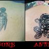 Black and Grey Rose Cover up