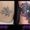 Pegasus Cover up