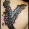 Raven