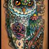Owl
