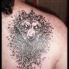 Black and Grey Wolf
